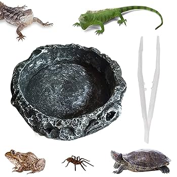 爬虫類　飼育器具　セット Amazon | ウォーターディッシュ 爬虫類 両生類 水飲み場 給餌